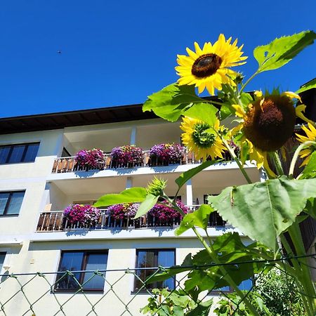 Gaestehaus Herma Ramsau am Dachstein Exteriör bild