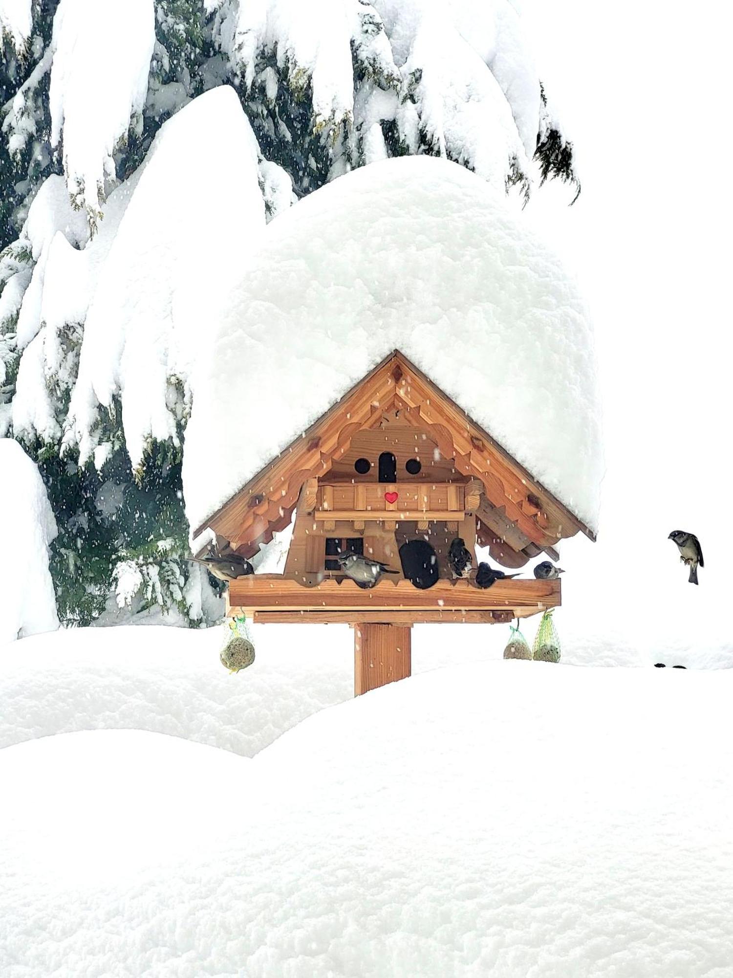 Gaestehaus Herma Ramsau am Dachstein Exteriör bild