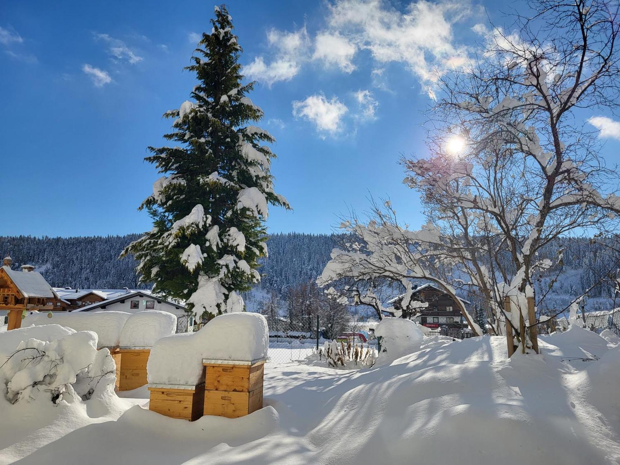 Gaestehaus Herma Ramsau am Dachstein Exteriör bild