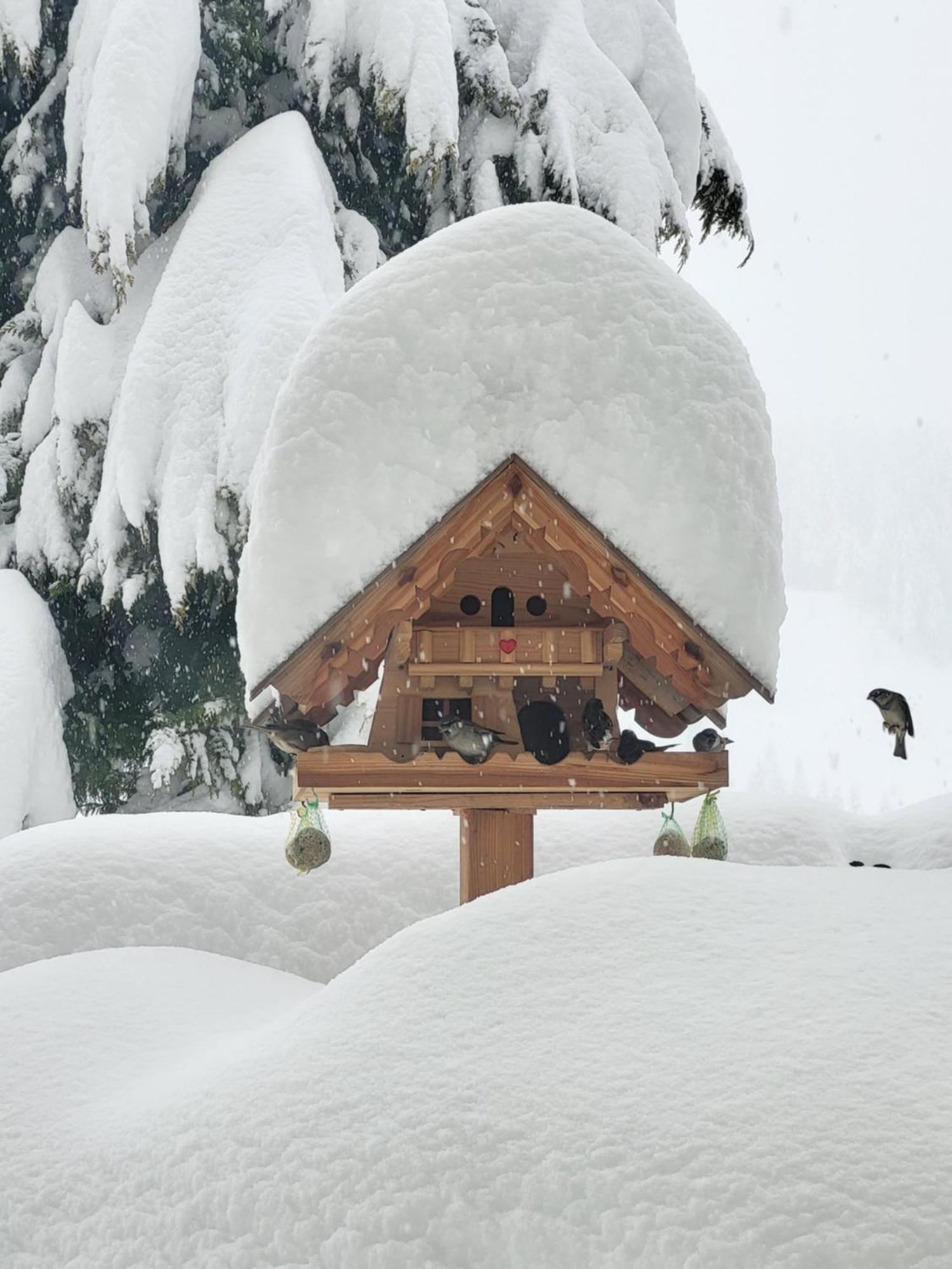 Gaestehaus Herma Ramsau am Dachstein Exteriör bild