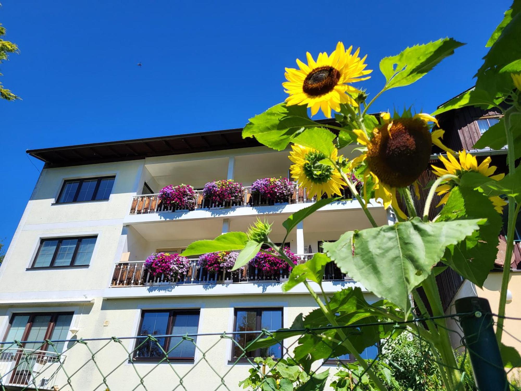 Gaestehaus Herma Ramsau am Dachstein Exteriör bild