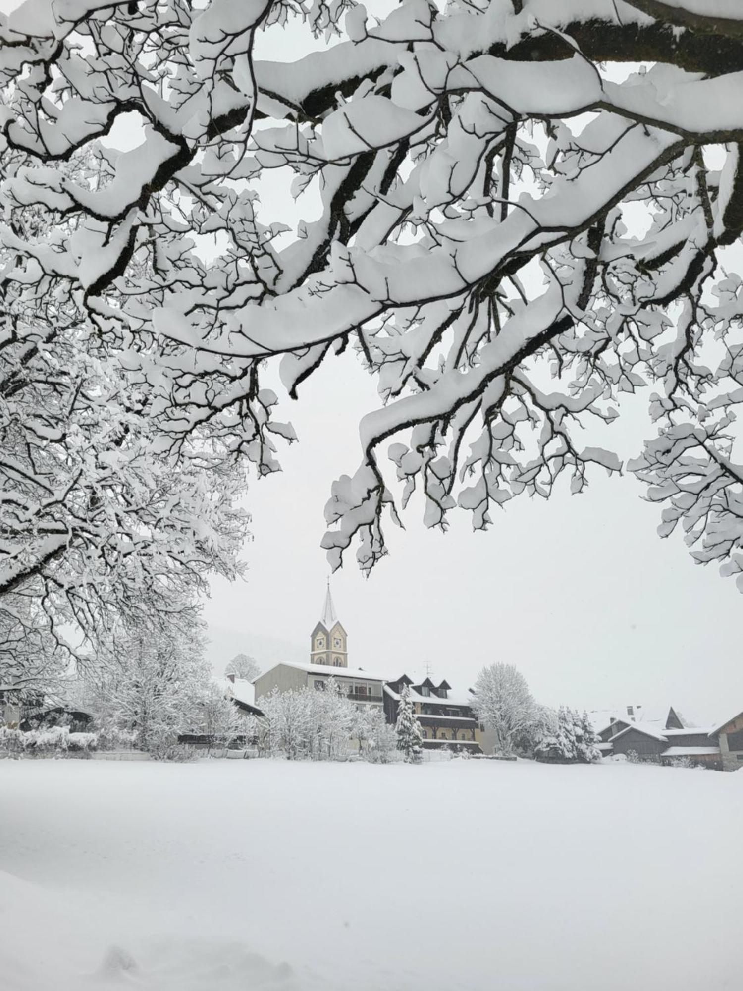 Gaestehaus Herma Ramsau am Dachstein Exteriör bild