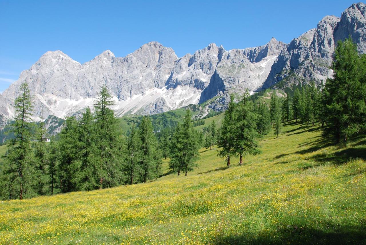 Gaestehaus Herma Ramsau am Dachstein Exteriör bild