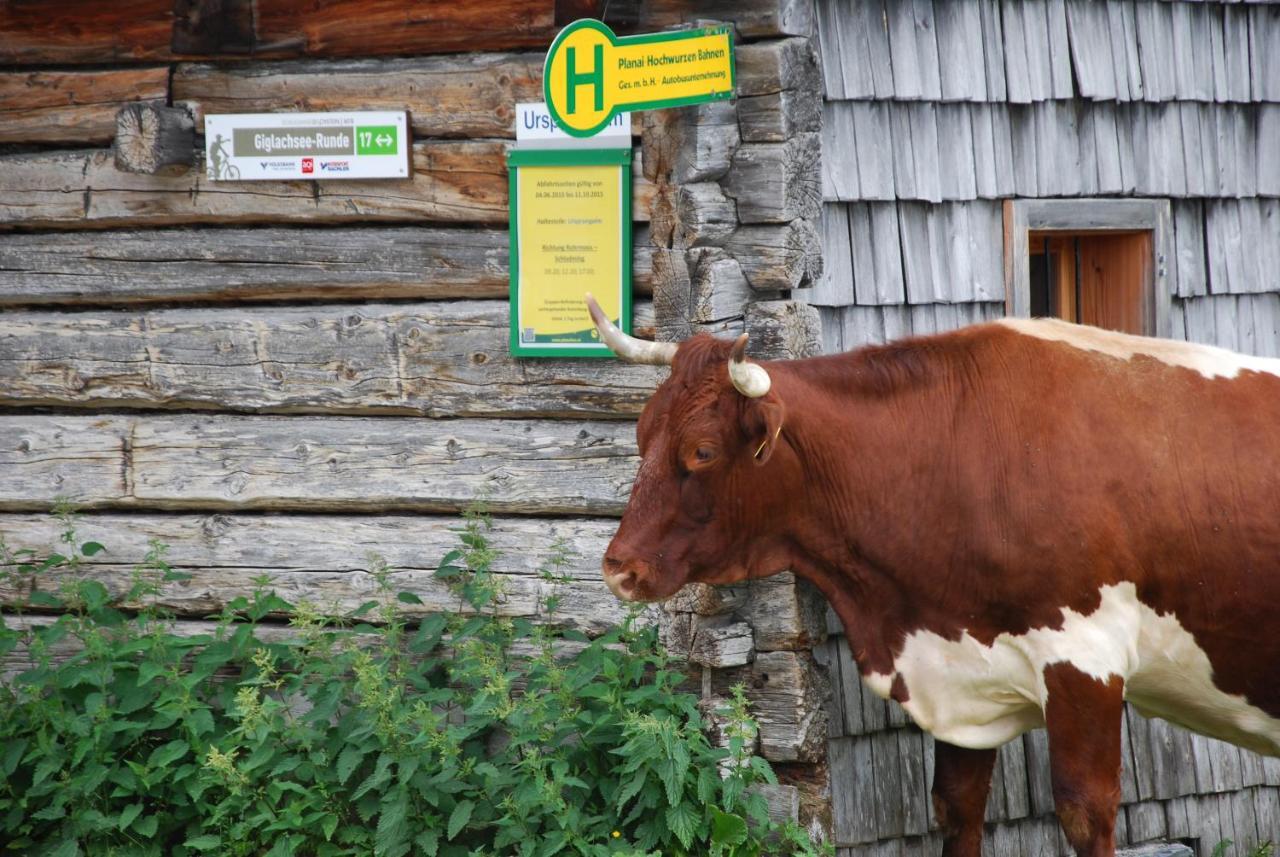 Gaestehaus Herma Ramsau am Dachstein Exteriör bild