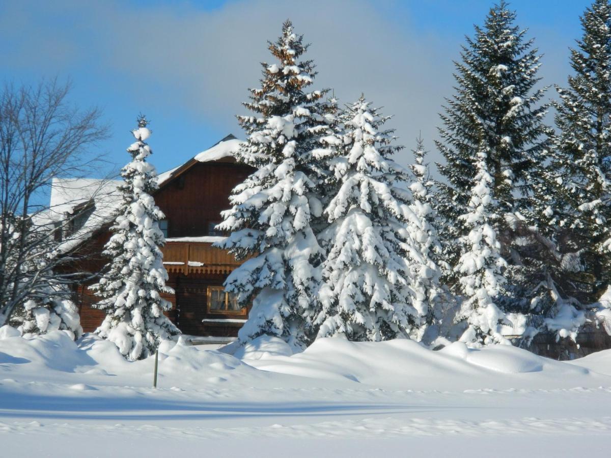 Gaestehaus Herma Ramsau am Dachstein Exteriör bild